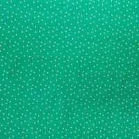 color palate 