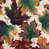 color product image