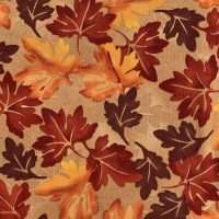 color product image